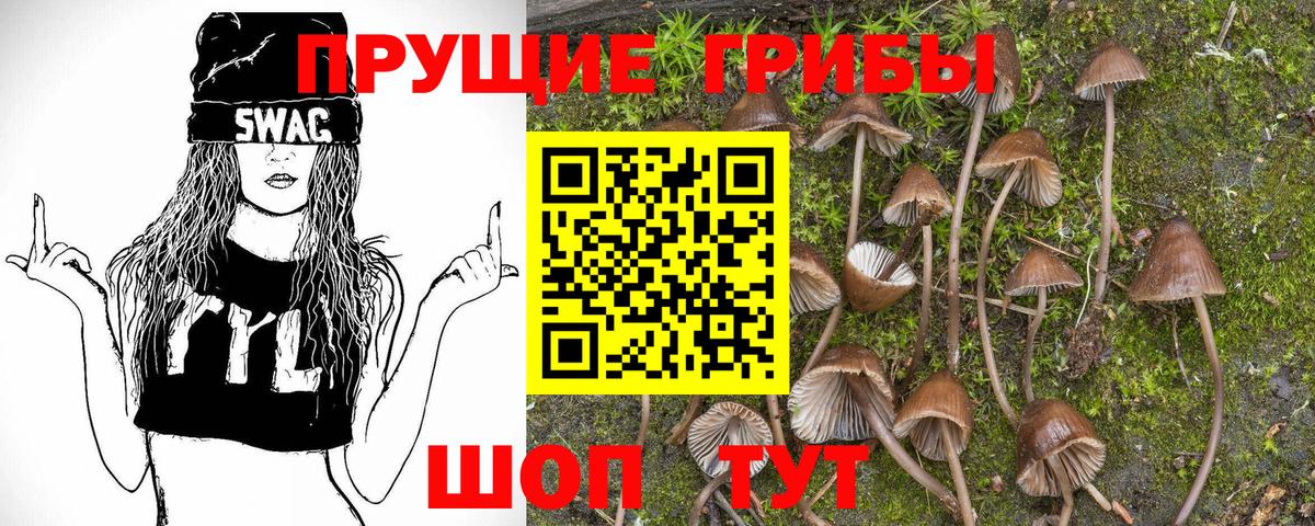Галлюциногенные грибы мухоморы Щёлково