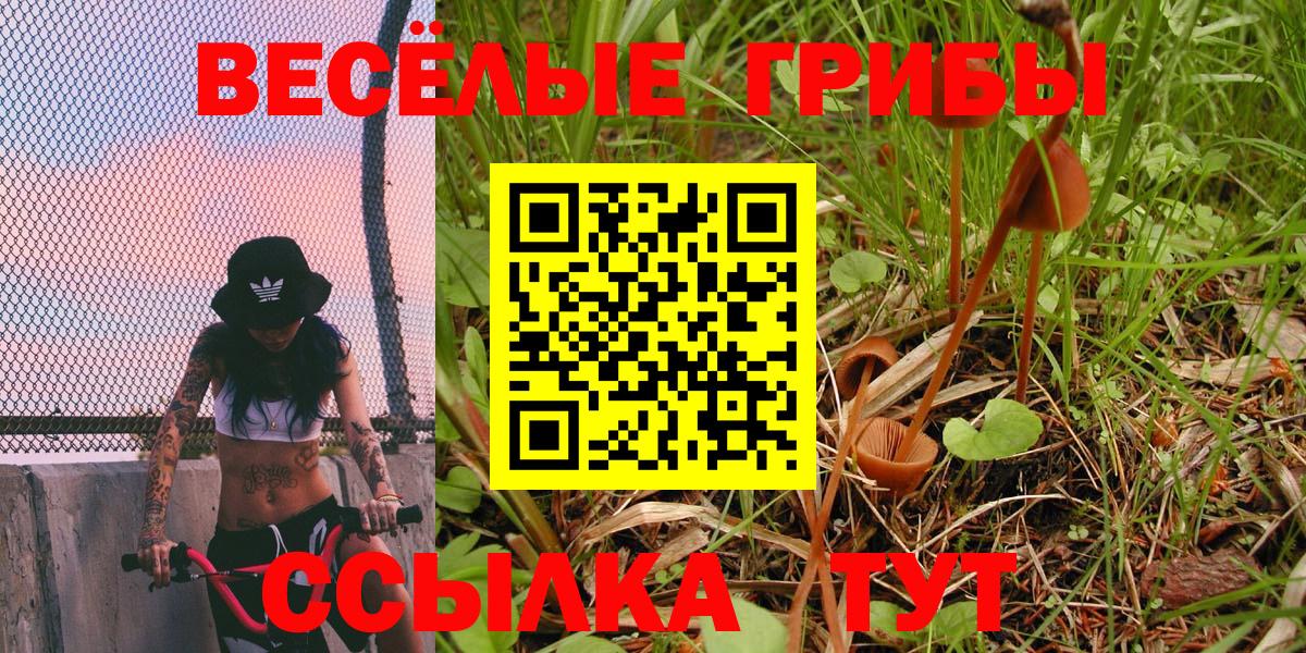 купить наркоту  Вход с VPN  Щёлково  Галлюциногенные грибы мицелий 